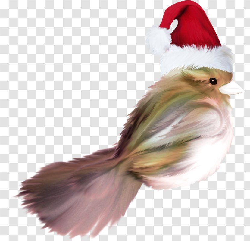 Feather Christmas Ornament Beak Tail Transparent PNG