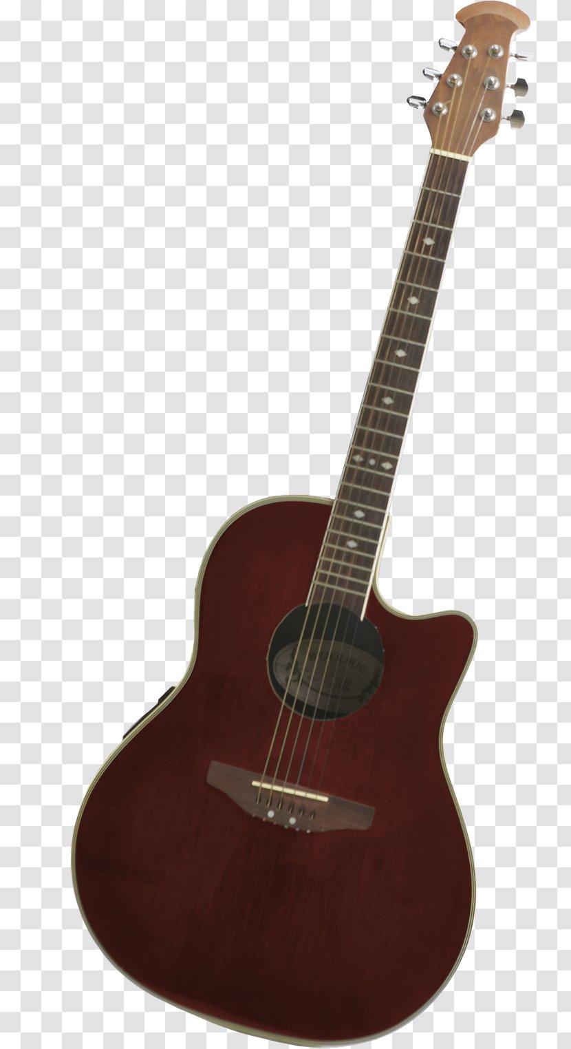 Acoustic Guitar Electric Tiple Cuatro Cavaquinho - Tree Transparent PNG