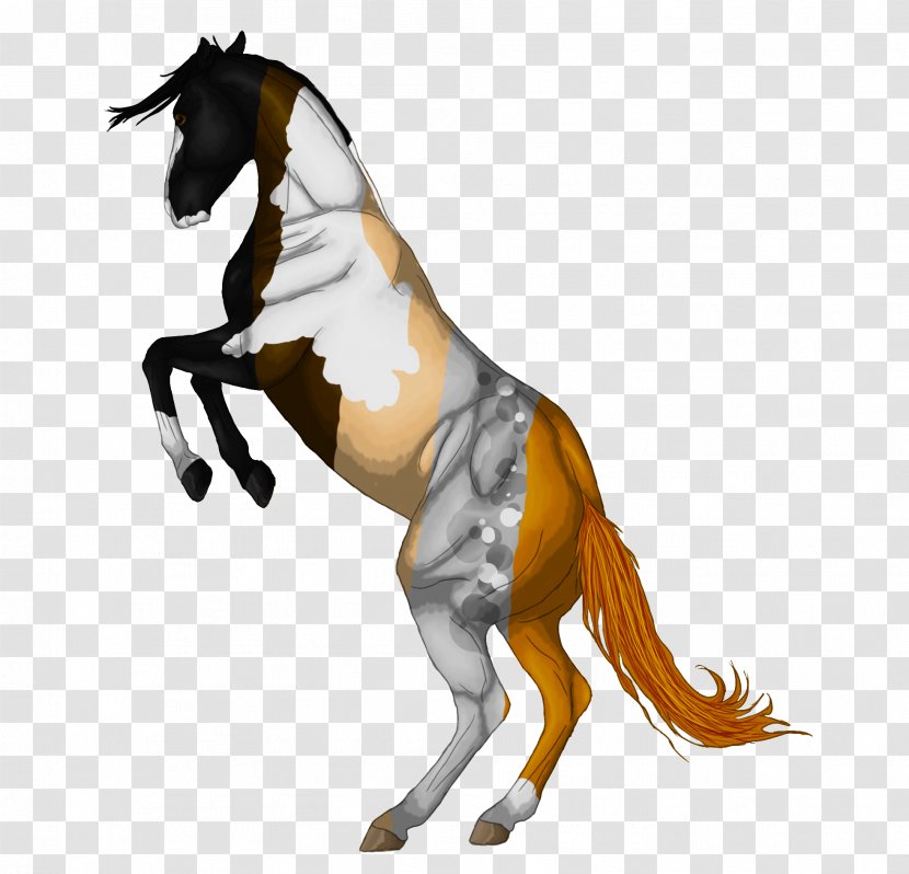 Mane Mustang Pony Stallion Rein Transparent PNG