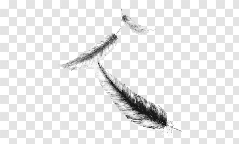Feather Drawing Maximum Ride Sketch - Flight Transparent PNG