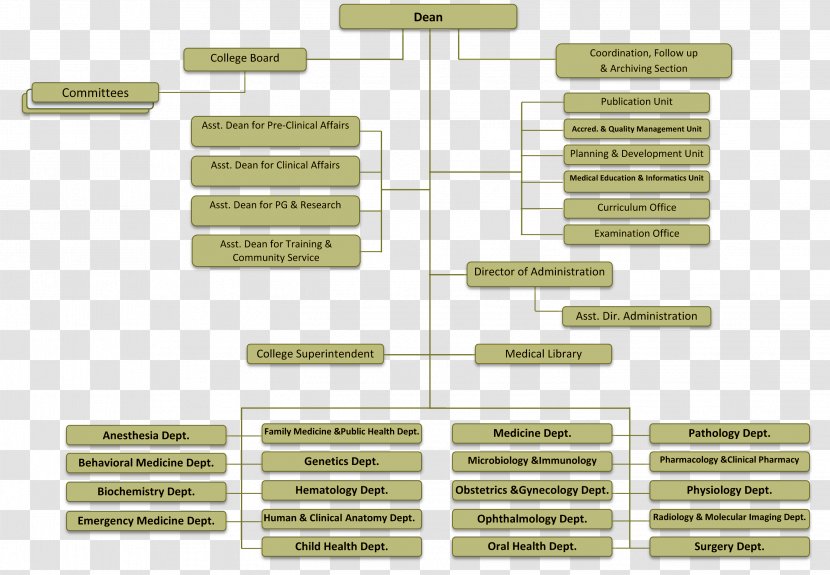 Medical Library Sultan Qaboos University College Organizational Chart Medicine - Dean - Organization Transparent PNG