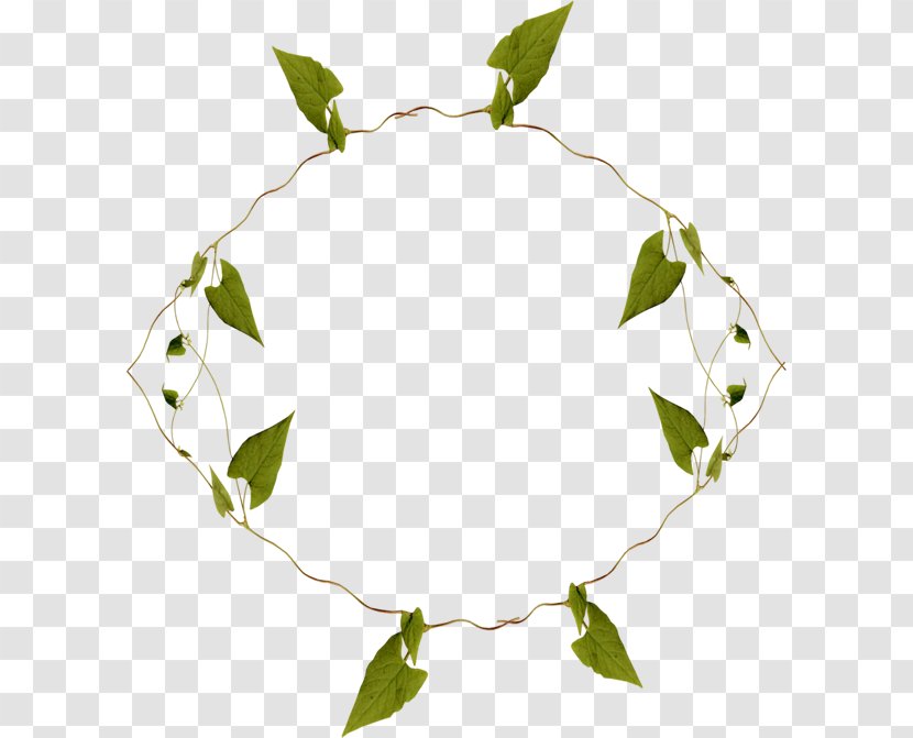 Maple Leaf Annulus - Branch - Wound Leaves Transparent PNG
