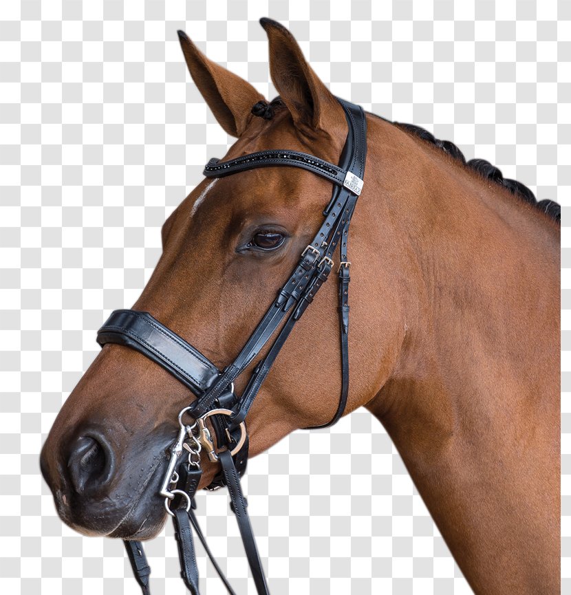 Double Bridle Horse Saddle Equestrian - Eventing - Son Transparent PNG