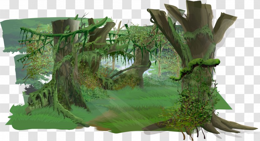 Jungle Euclidean Vector - Woods Transparent PNG