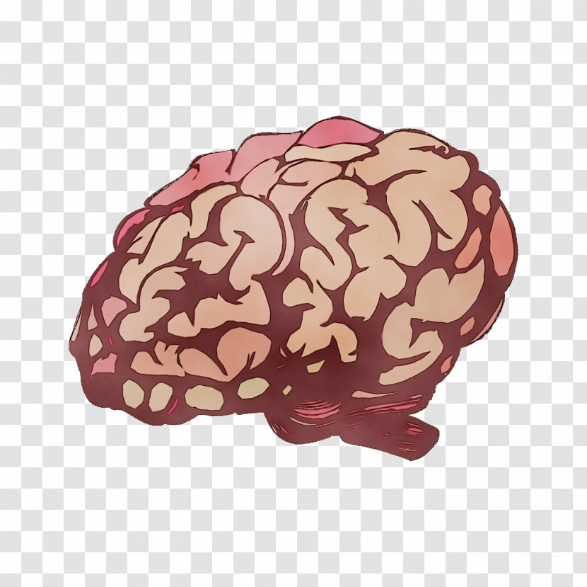 Brain M-brain Maroon Mind Transparent PNG