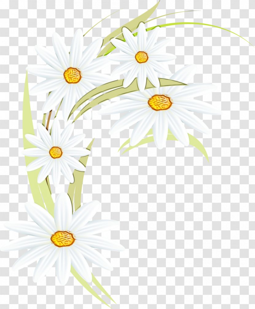 Floral Flower Background - Design - Pedicel Aster Transparent PNG