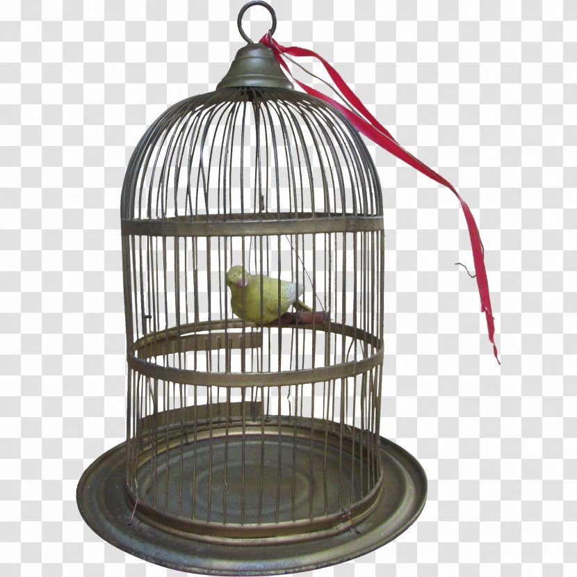 Iron Brenden Cage - Bird Transparent PNG