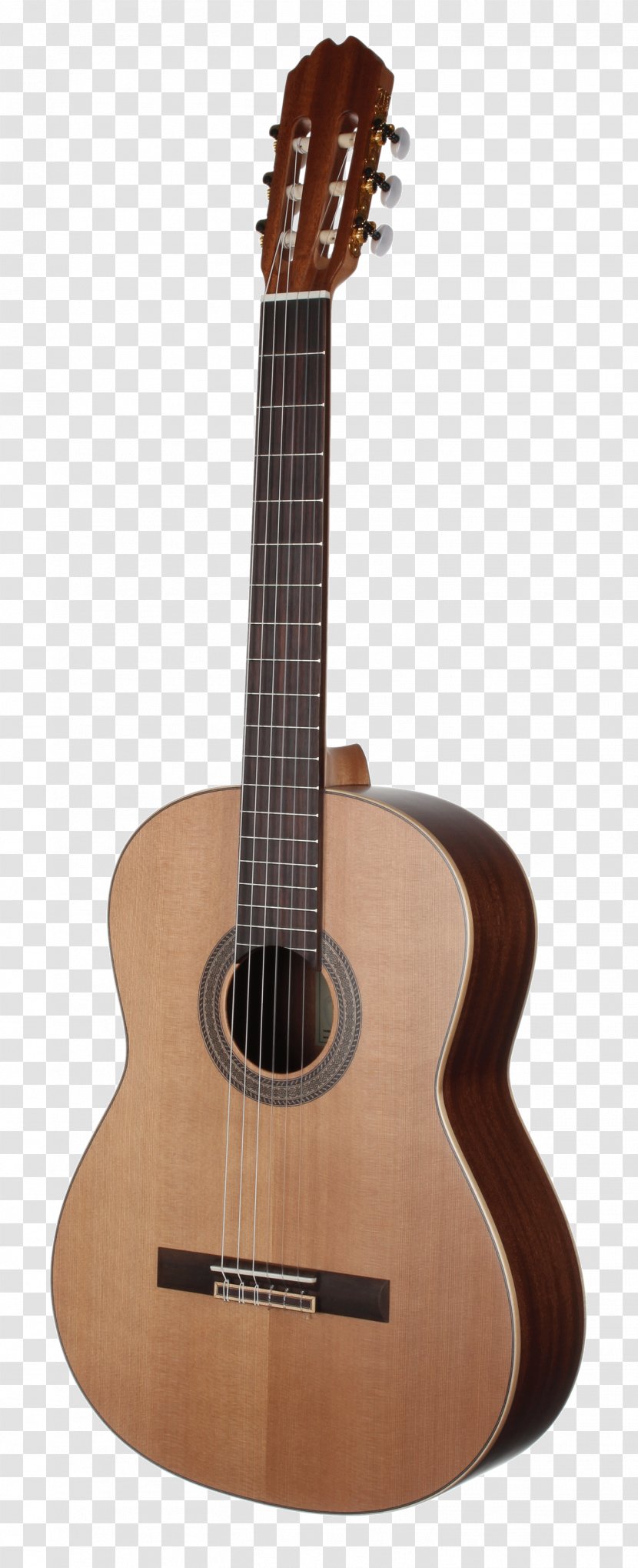 Acoustic Guitar Bass Tiple Cuatro Cavaquinho - Frame Transparent PNG