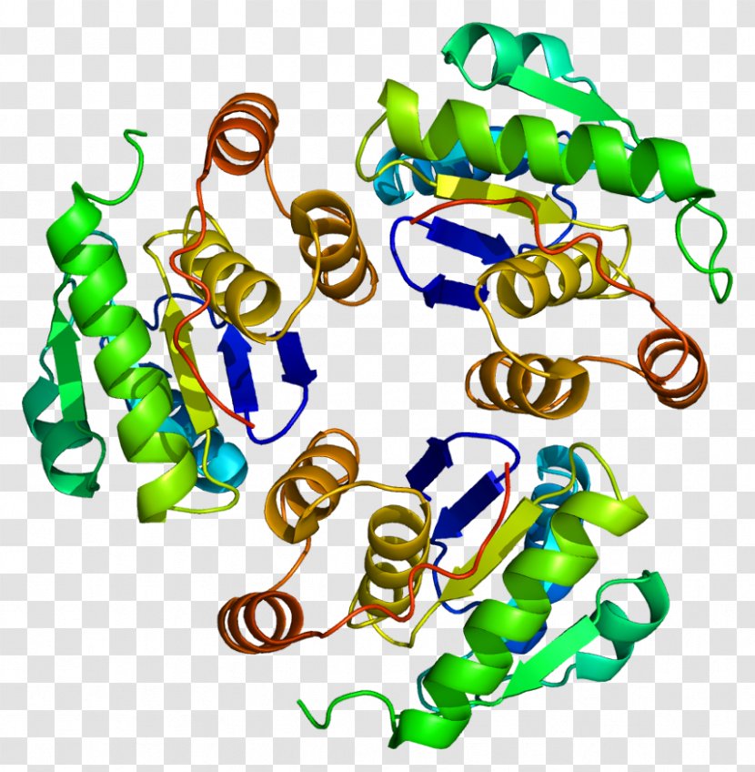 PTP4A1 ATF7 Protein Gene Geranylgeranyltransferase Type 1 - Flower - Silhouette Transparent PNG