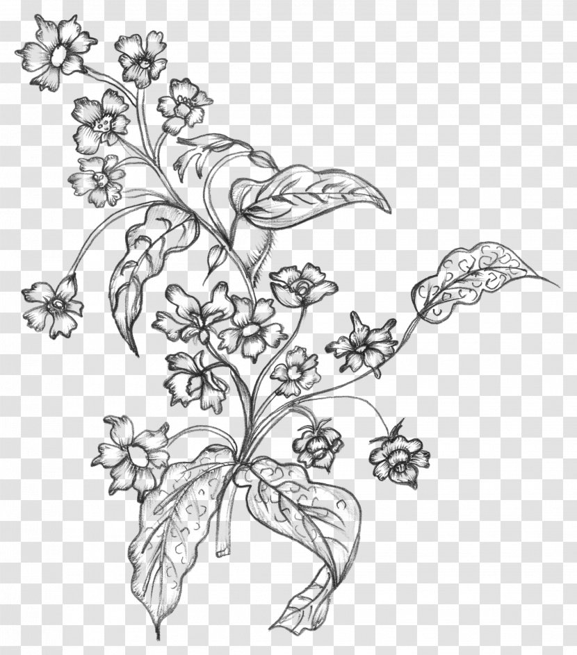 Line Art Leaf Plant Flower Pedicel - Visual Arts Coloring Book Transparent PNG
