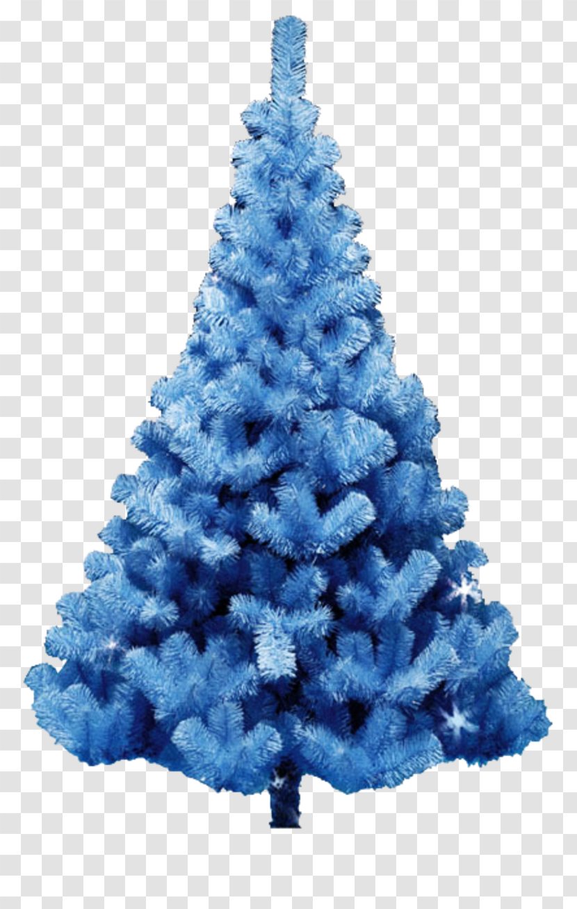 Christmas Tree Fir Spruce Ornament Transparent PNG