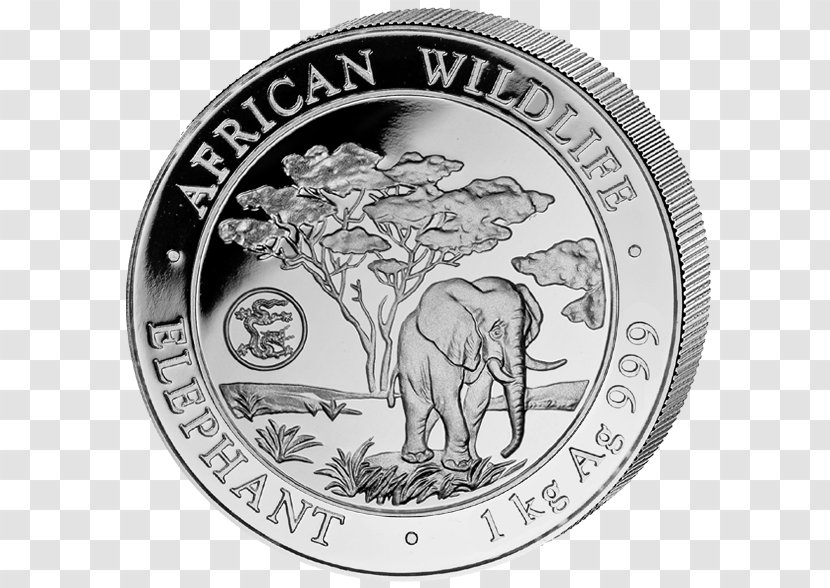 Silver Coin African Elephant Elephantidae - Elephants And Mammoths Transparent PNG