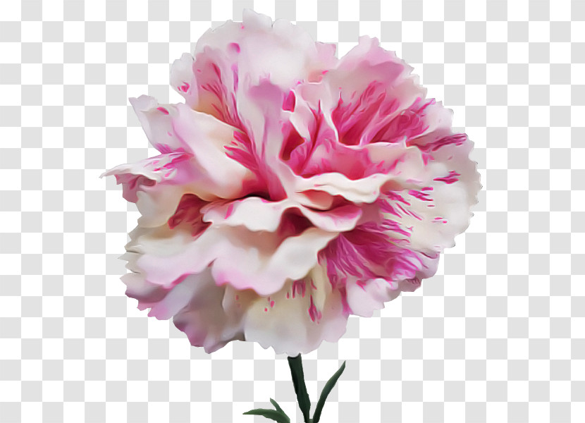 Flower Bouquet Transparent PNG