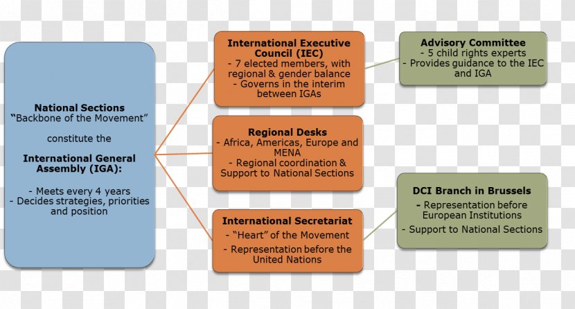 Organizational Chart Structure Secretary - Material - Organs Transparent PNG