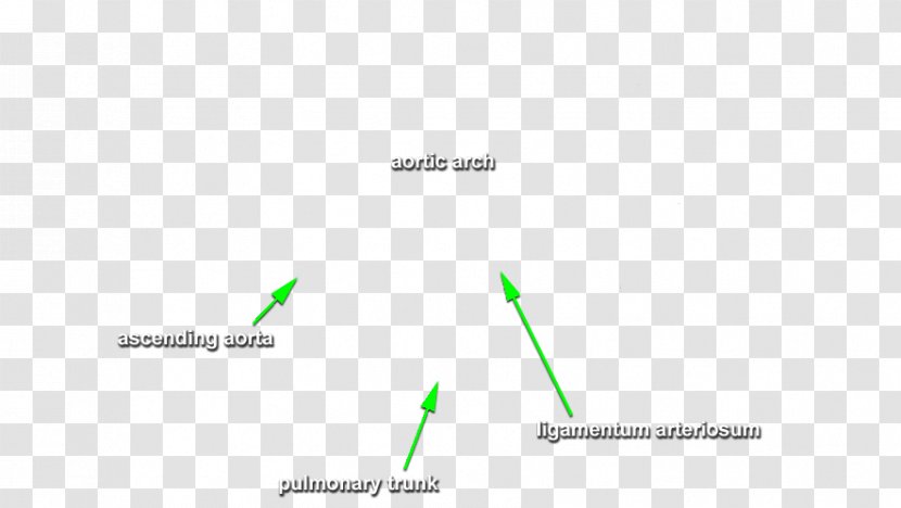 Brand Diagram Line - Triangle Transparent PNG