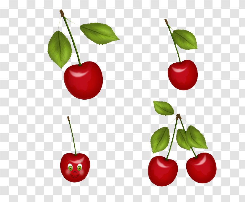 Juice Malpighia Glabra Cherry Apple Auglis - Acerola Family - Jewelry Transparent PNG