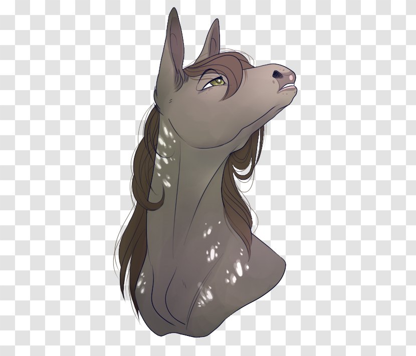 Whiskers Cat Horse Dog Mammal - Head - Pretty Lady Transparent PNG