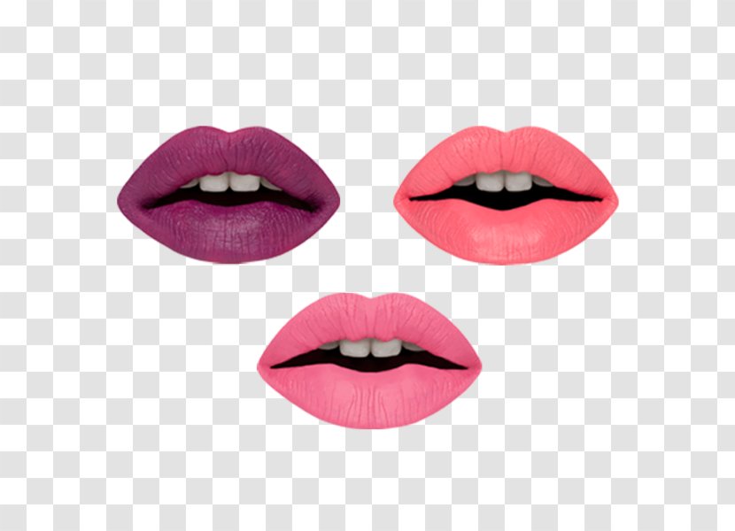 Lipstick Cruelty-free Cosmetics Makeup Brush Eye Shadow Transparent PNG