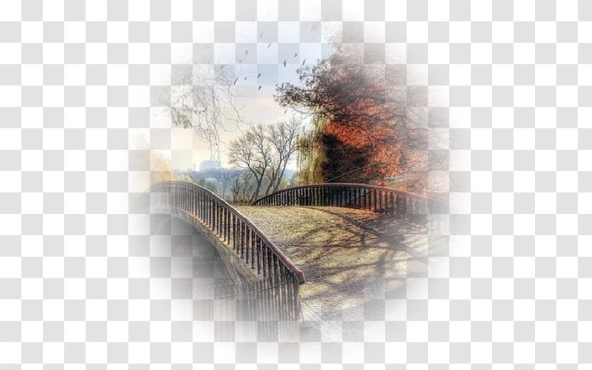 Desktop Wallpaper Photography Banco De Imagens - Reflection - Autumn Transparent PNG