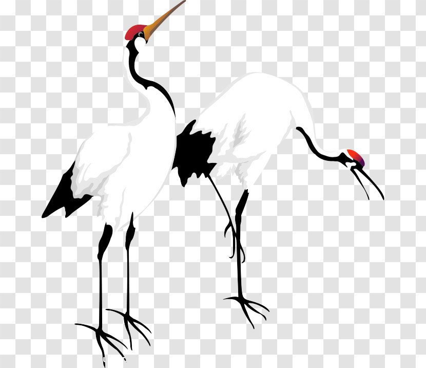Ink Crane - Stork - Like Bird Transparent PNG