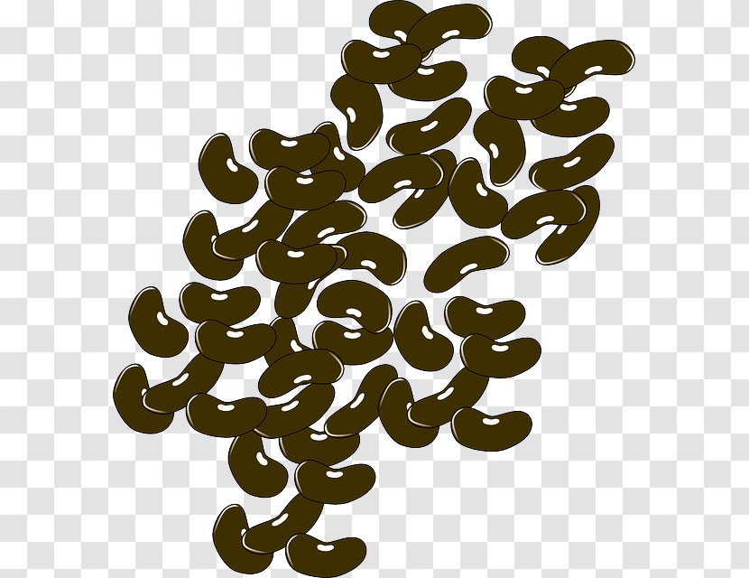 Kidney Bean Green Legume Clip Art Transparent PNG