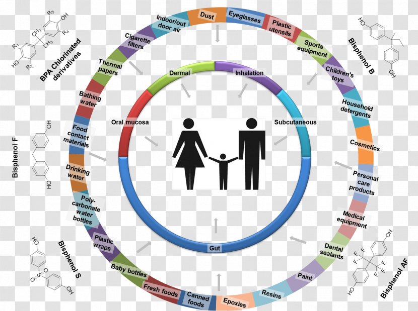 Bisphenol A Biomonitoring Graph Of Function Homo Sapiens Natural Environment - Brand Transparent PNG