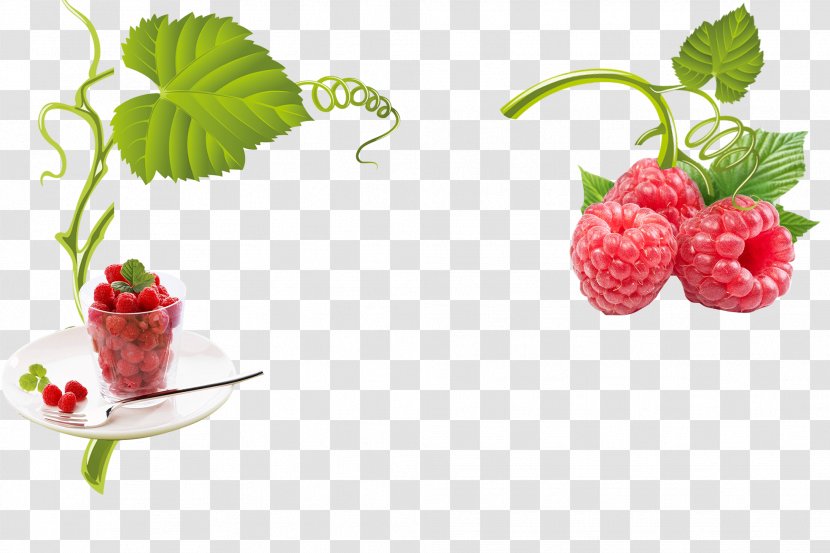 Raspberry Strawberry Frutti Di Bosco Fruit Download - Fundal - And Transparent PNG