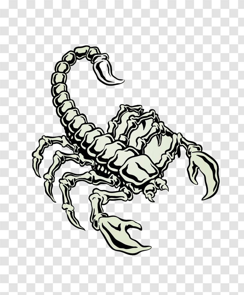 Scorpion Euclidean Vector Stock Photography - Drawing - A Large Transparent PNG