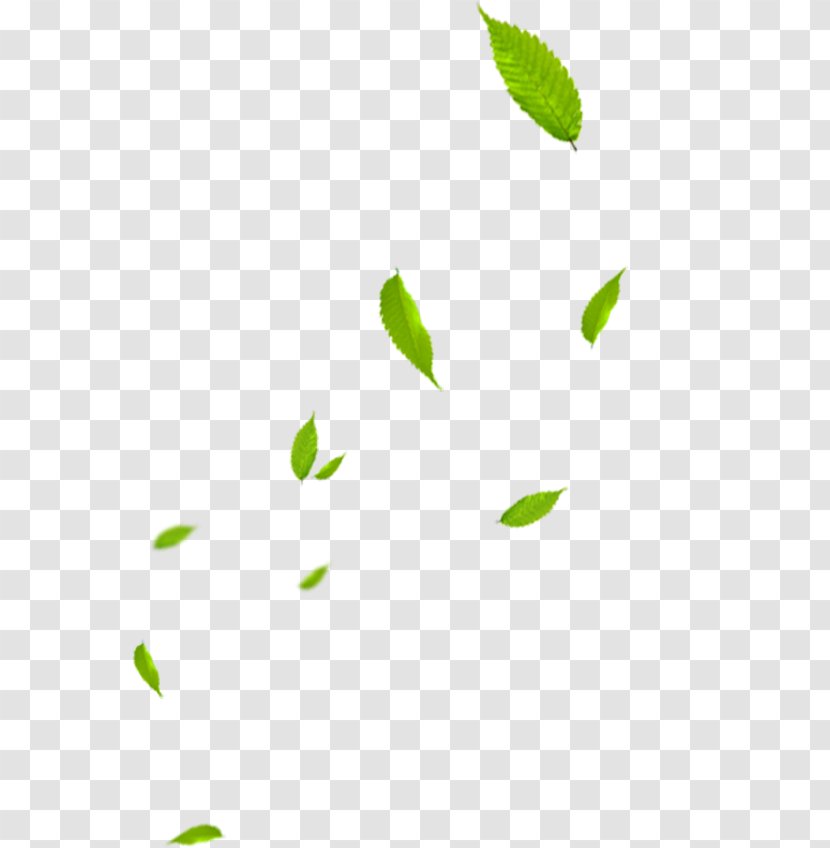 Green Banner - Yellow - Leaf Transparent PNG