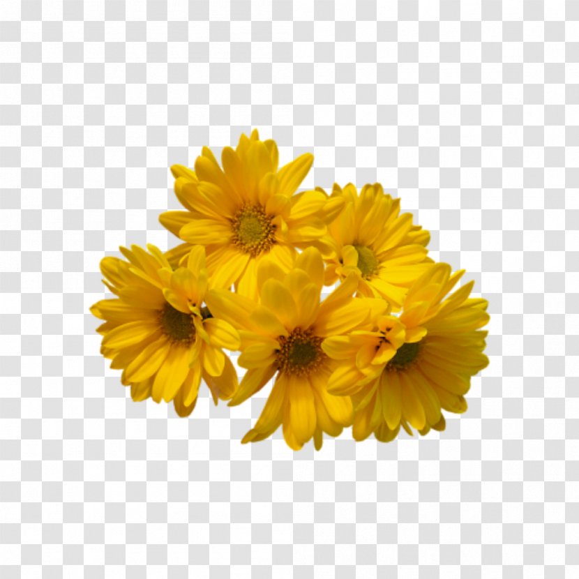 Flower Bouquet Clip Art Cut Flowers Yellow - English Marigold Transparent PNG