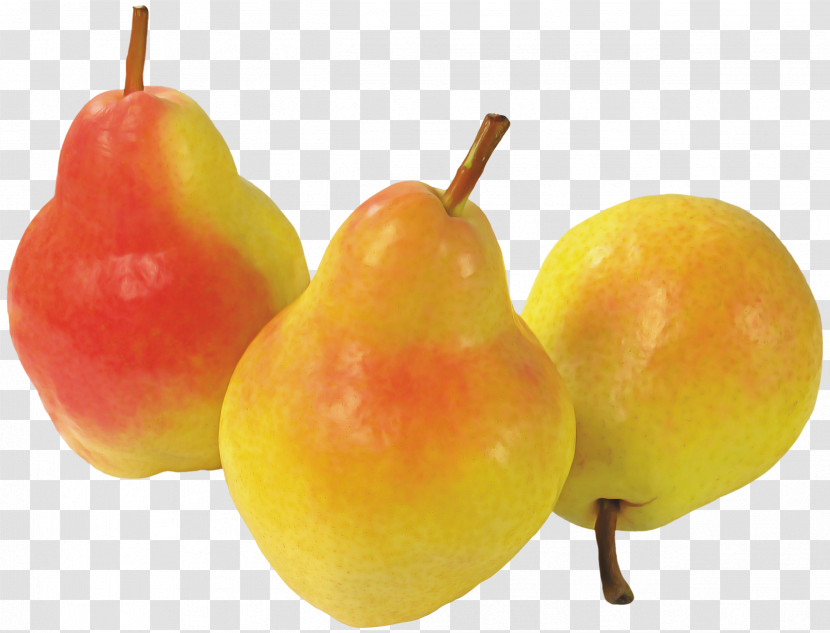 Fruit Tree Transparent PNG