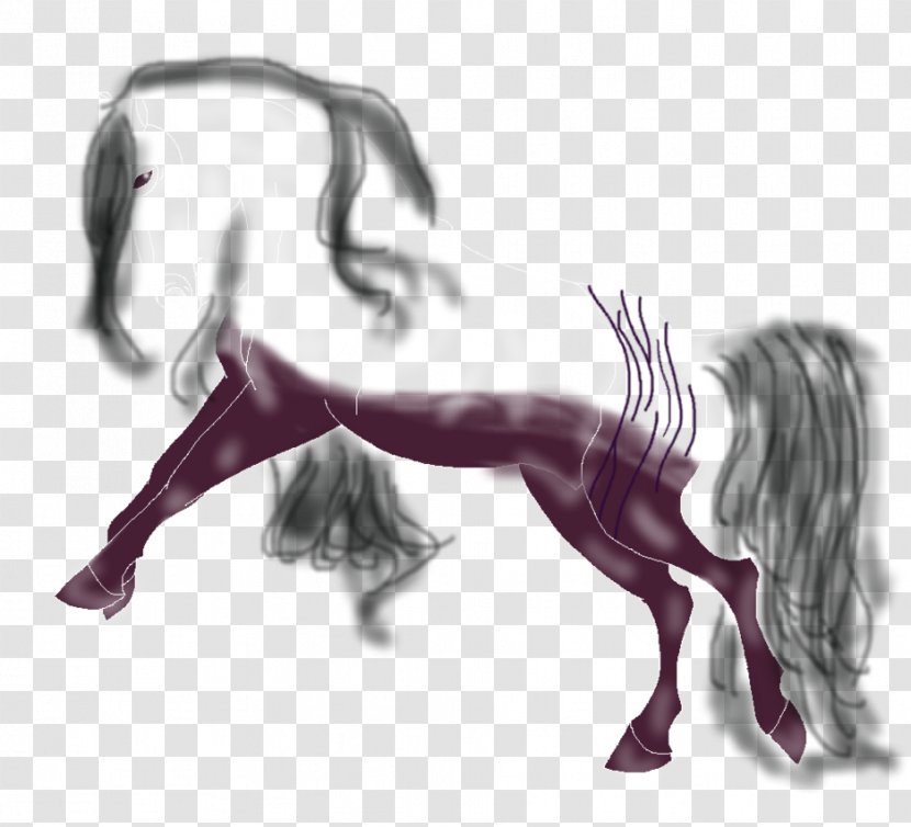 Mustang Drawing Legendary Creature Freikörperkultur - Frame Transparent PNG