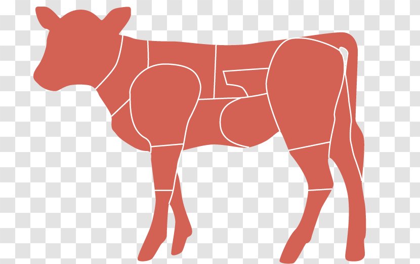 Calf Taurine Cattle Cut Of Beef - Horse Like Mammal - Meat Transparent PNG