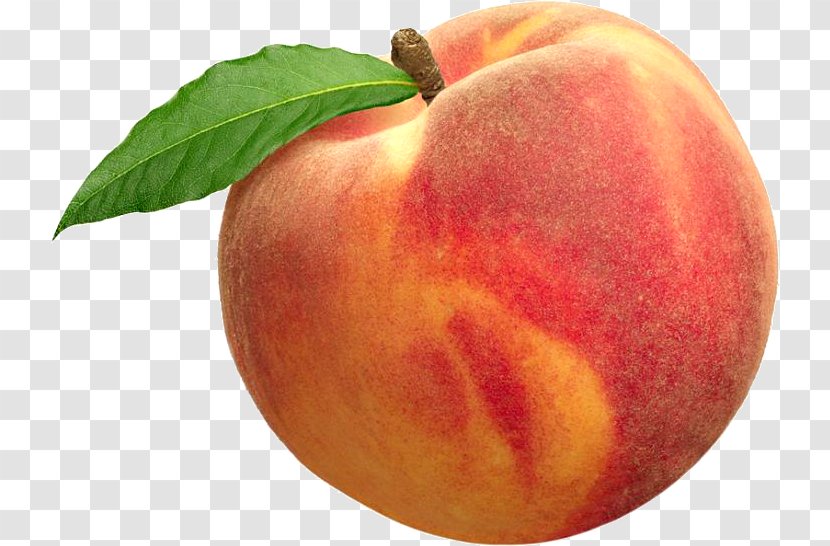 Palisade Nectarine Drupe Apricot Fruit - Apple - Peach Transparent PNG