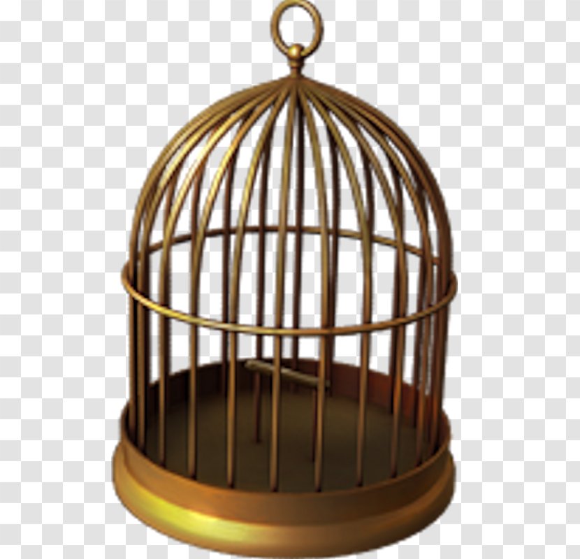 Birdcage Parrot - Cage Transparent PNG