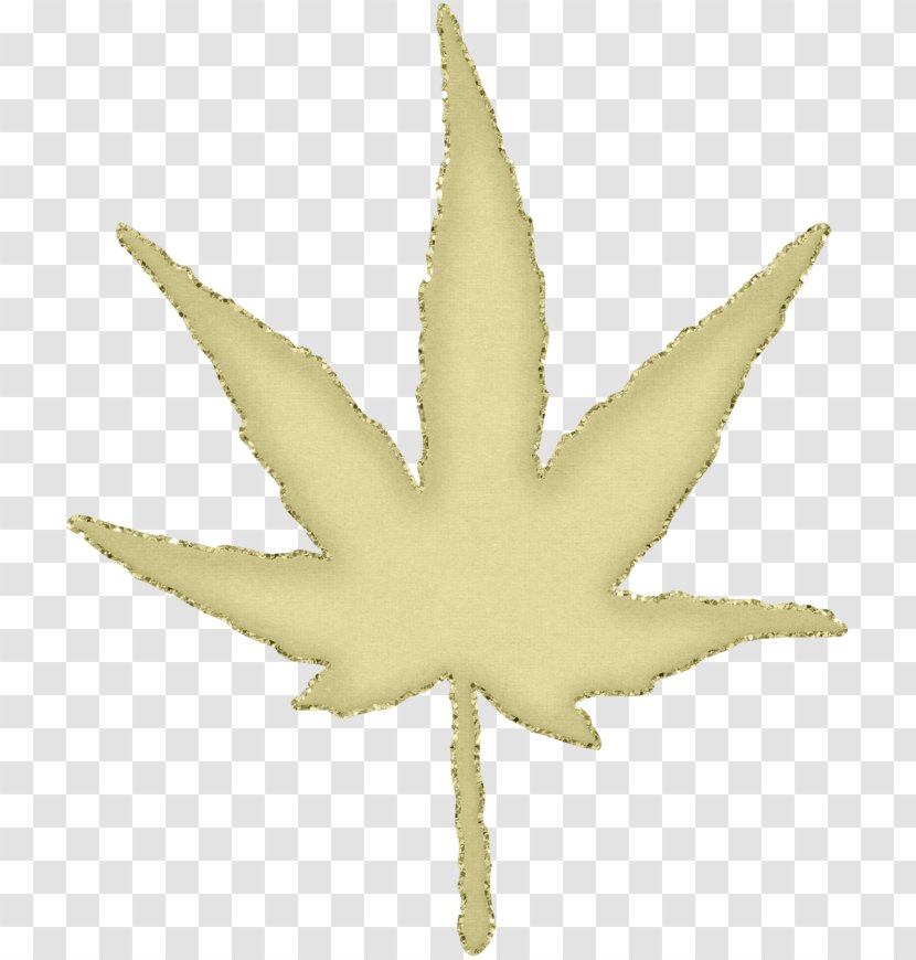 Cannabis Smoking Leaf Hemp Narcotic - Medical Transparent PNG
