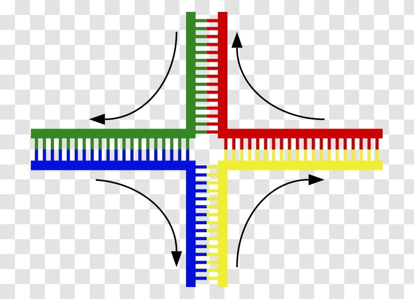 Holliday Junction DNA Nanotechnology Chromosomal Crossover Genetic Recombination - Dna Transparent PNG