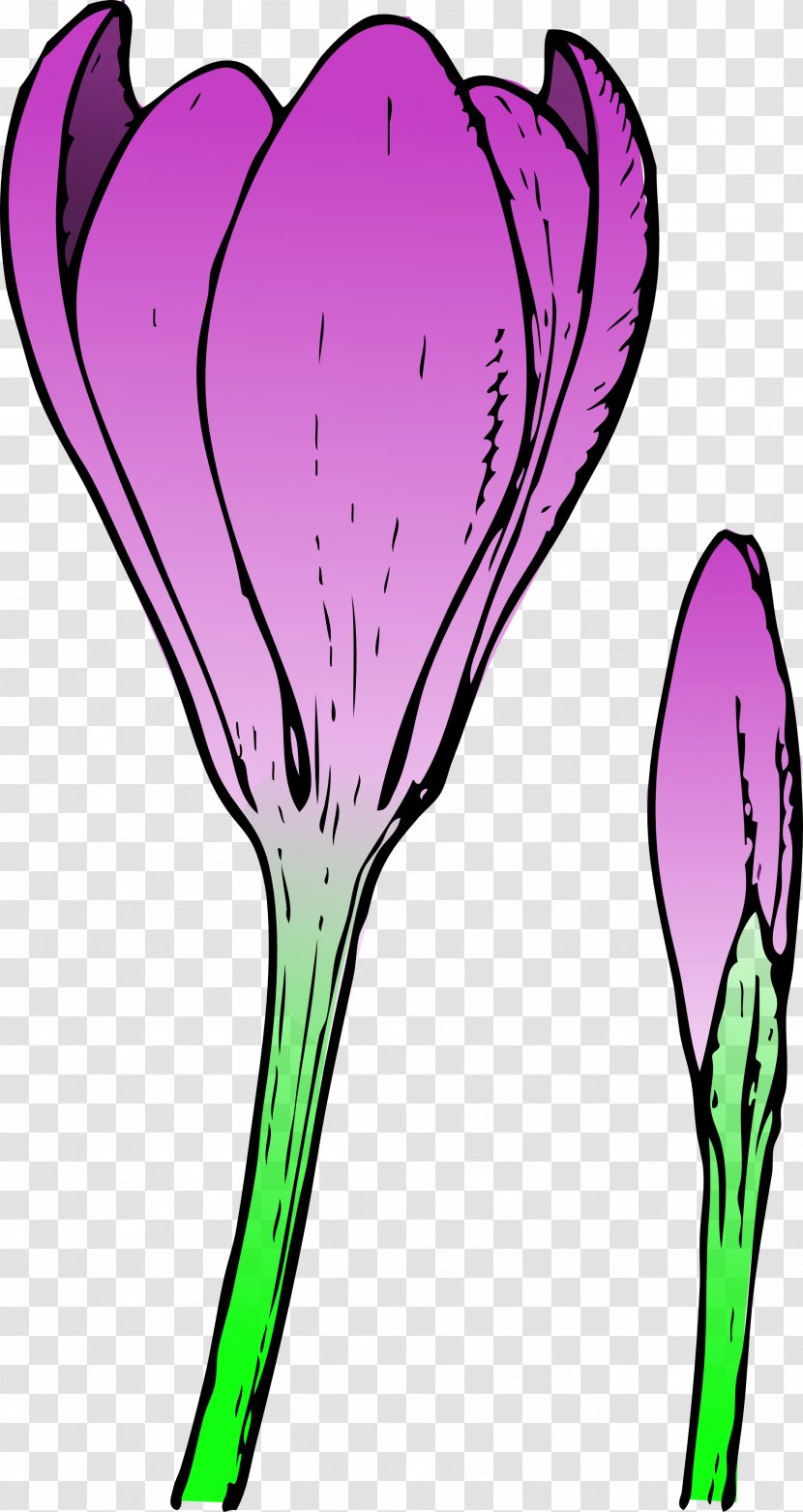 Bud Flower Crocus Clip Art - Shenanigans Cliparts Transparent PNG