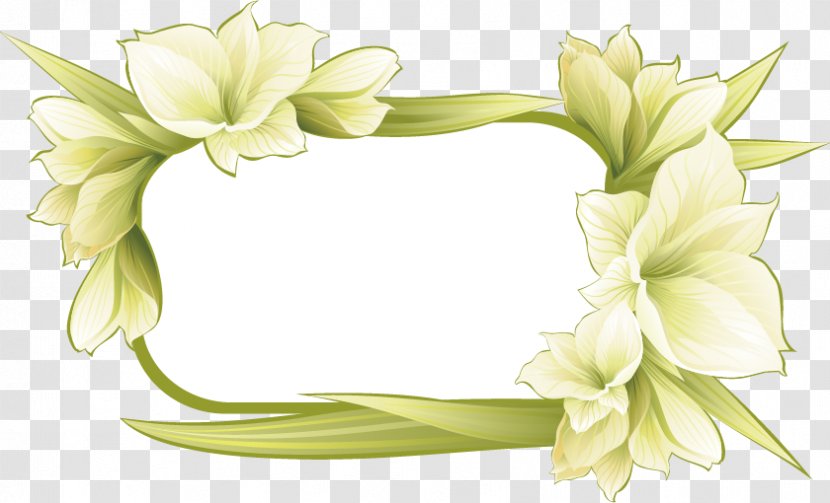 Picture Frame Flower Illustration - Plant - Spring Fresh Garland Border Transparent PNG