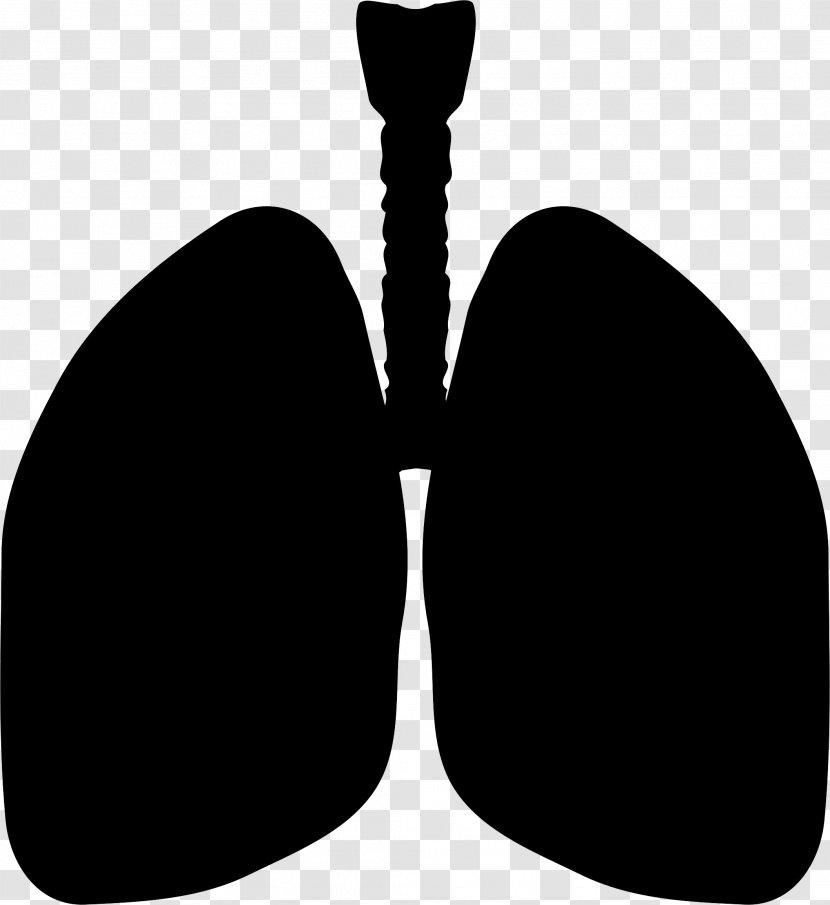 Clip Art Lung Silhouette Vector Graphics - Black - Circulation Cartoon Lungs Transparent PNG
