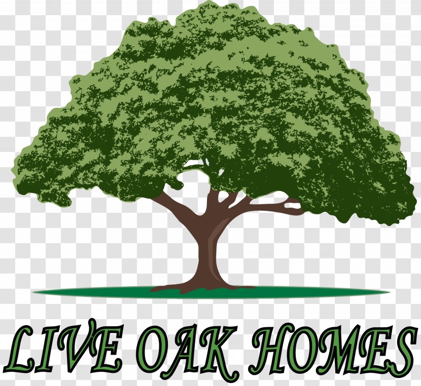 Live Oak Homes Mobile Home Waycross - Custom Transparent PNG