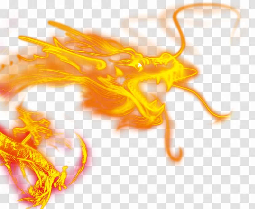 Download Computer File - Coreldraw - Dragon Transparent PNG