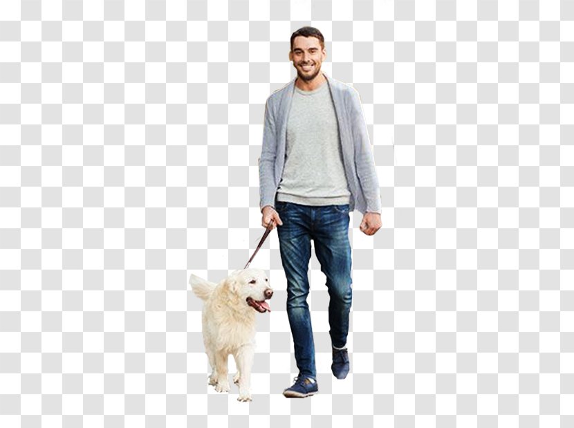 Dogo Argentino Architectural Rendering - Shoe - Woman Man Transparent PNG