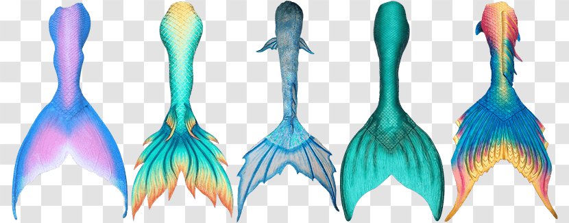 Mermaid Drawing Siren Tail Merman - Joint Transparent PNG