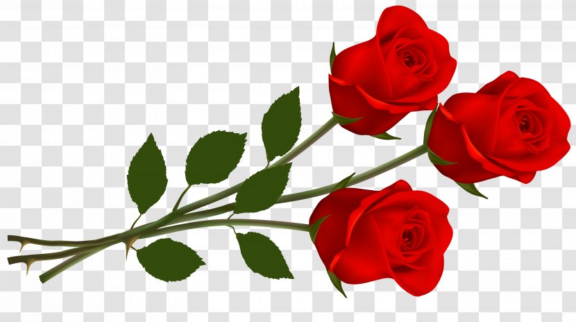 Rose Clip Art - Flower Arranging - Single Red Transparent Image Transparent PNG