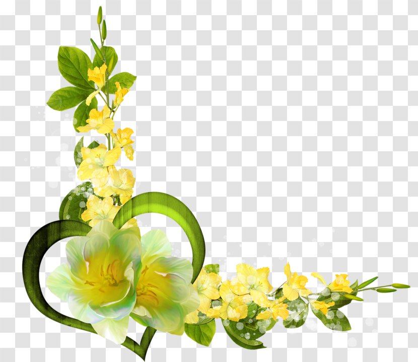 Photography Clip Art - Cut Flowers - Mimosa Transparent PNG