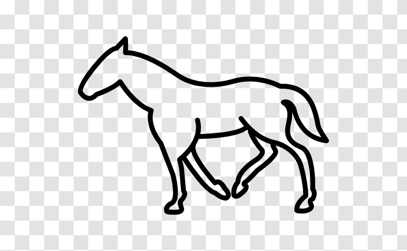 Mule Pony Mustang Foal Colt - White - Walking Horse Transparent PNG