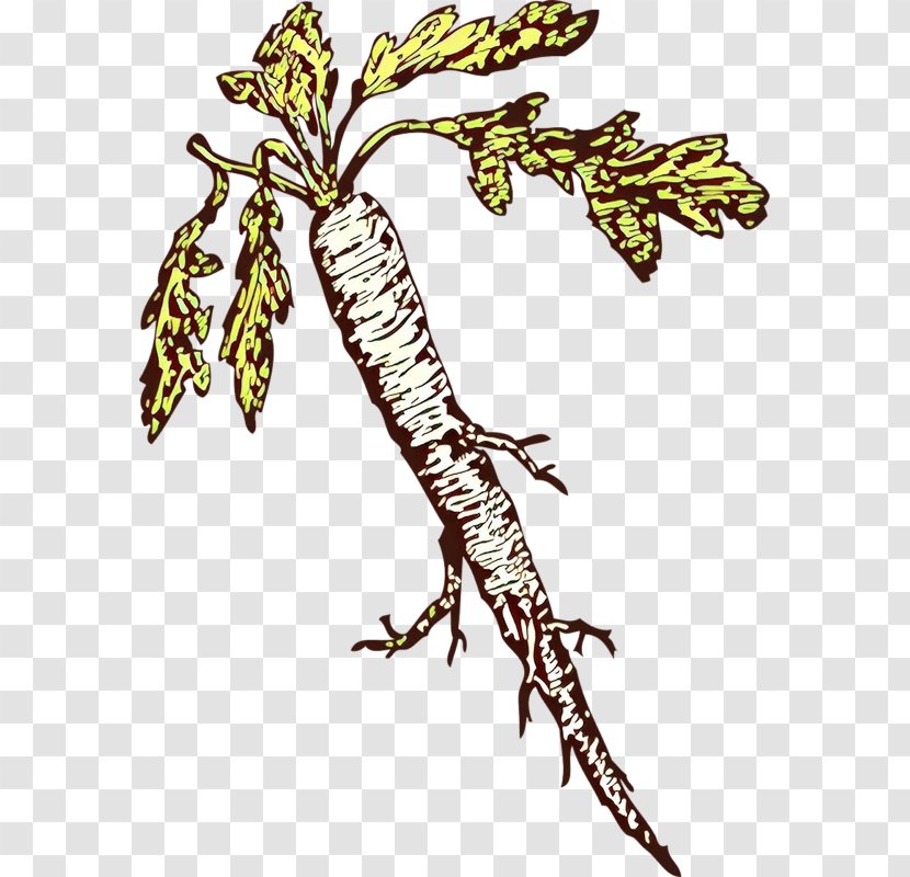 Plant Clip Art Lizard - Cartoon Transparent PNG