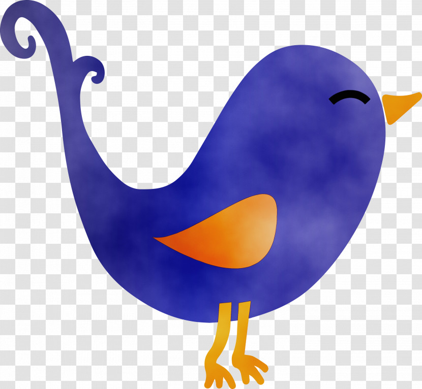 Bird Beak Flightless Bird Transparent PNG