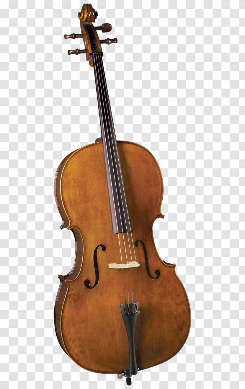 Violin Cello String Instruments Orchestra Viola - Flower Transparent PNG